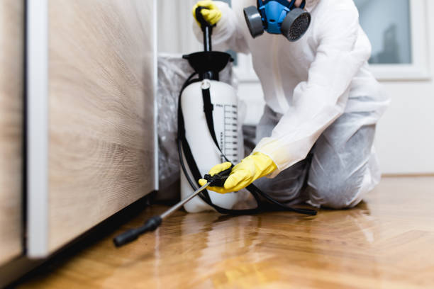 Best Exterminator Services  in El Dorado, AR