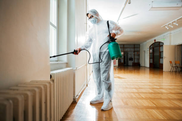 Best Emergency Pest Control  in El Dorado, AR